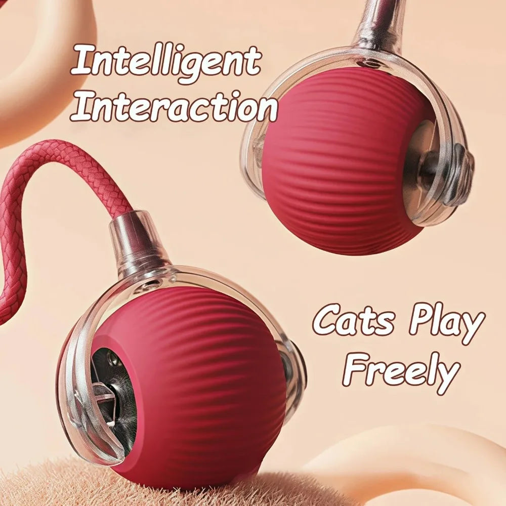Pelota Interactiva Automática Gatos - Juguete Eléctrico Recargable con Cola