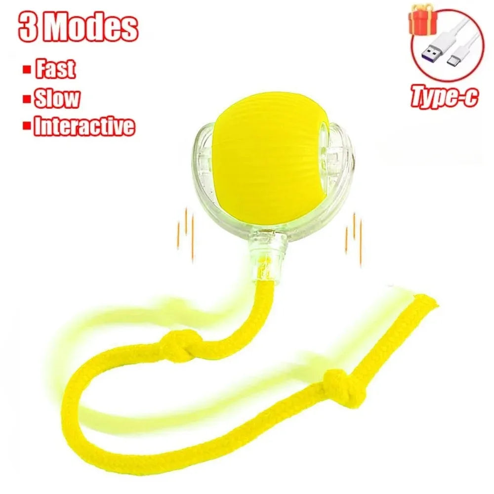 Pelota Interactiva Automática Gatos - Juguete Eléctrico Recargable con Cola