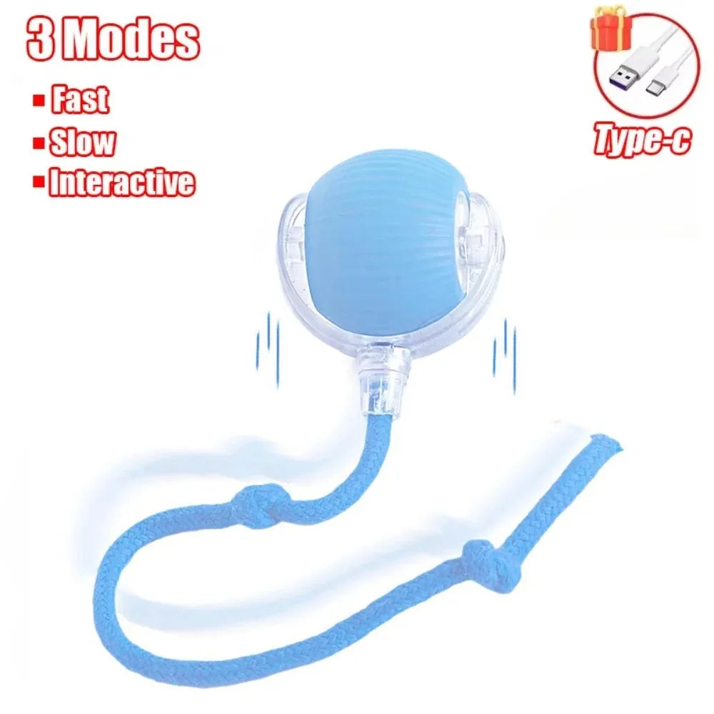 Pelota Interactiva Automática Gatos - Juguete Eléctrico Recargable con Cola