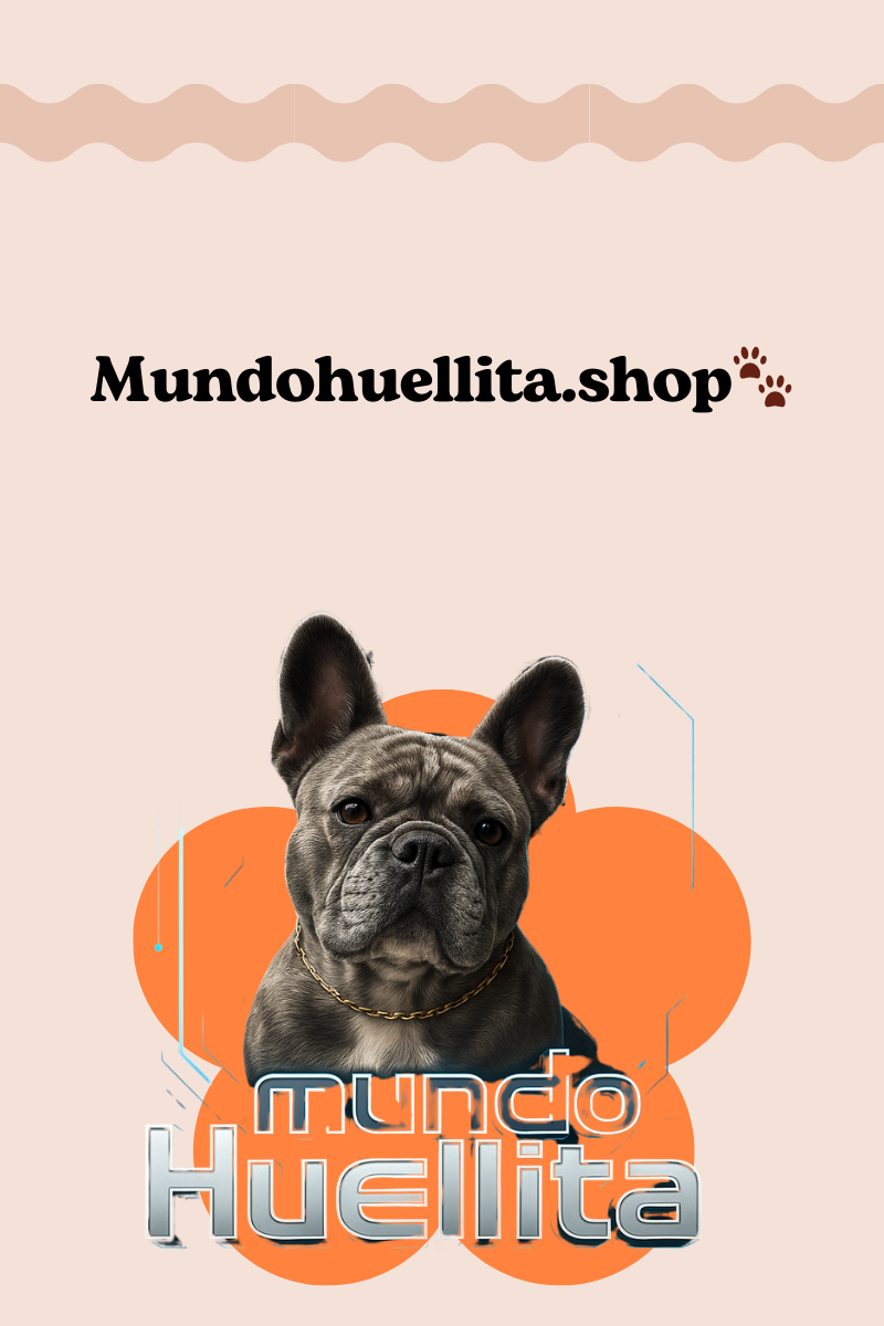 Chaleco Salvavidas Perros - Diseño Tiburón Naranja Talla M
