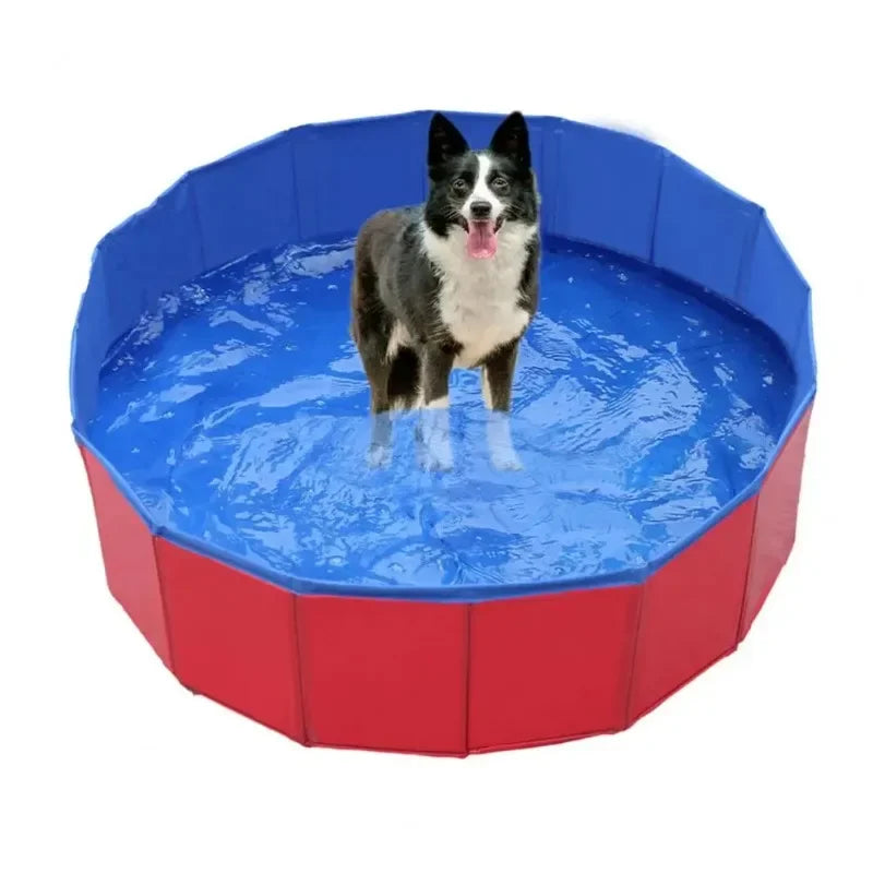 Bañera Plegable Mascotas - Piscina Interactiva Portátil Gatos y Perros