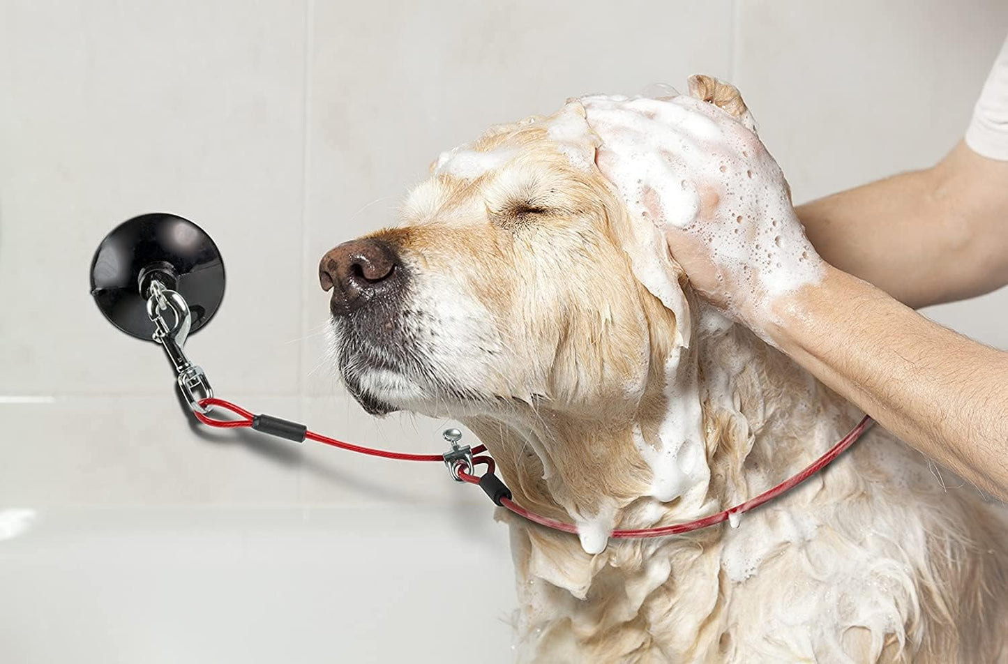 Dog Durable Bathing Grooming Shower Restraint Heavy Duty Bath Tether Leash with Suction Cup Dogs Red