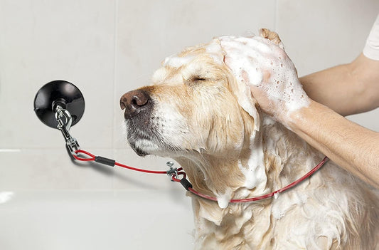 Dog Durable Bathing Grooming Shower Restraint Heavy Duty Bath Tether Leash with Suction Cup Dogs Red