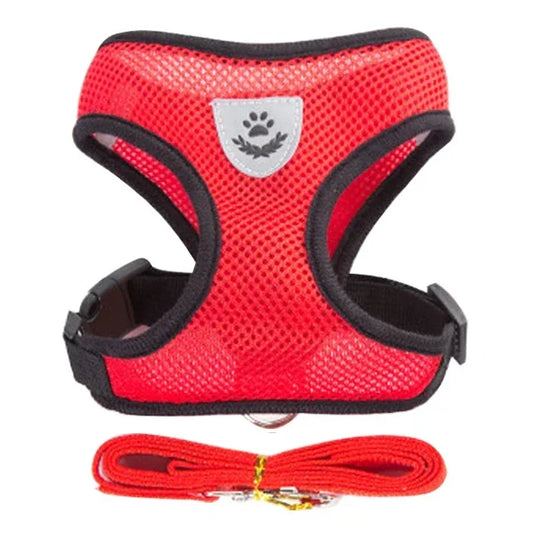 Arnés Chaleco Ajustable para Gatos y Perros - Malla Transpirable con Correa