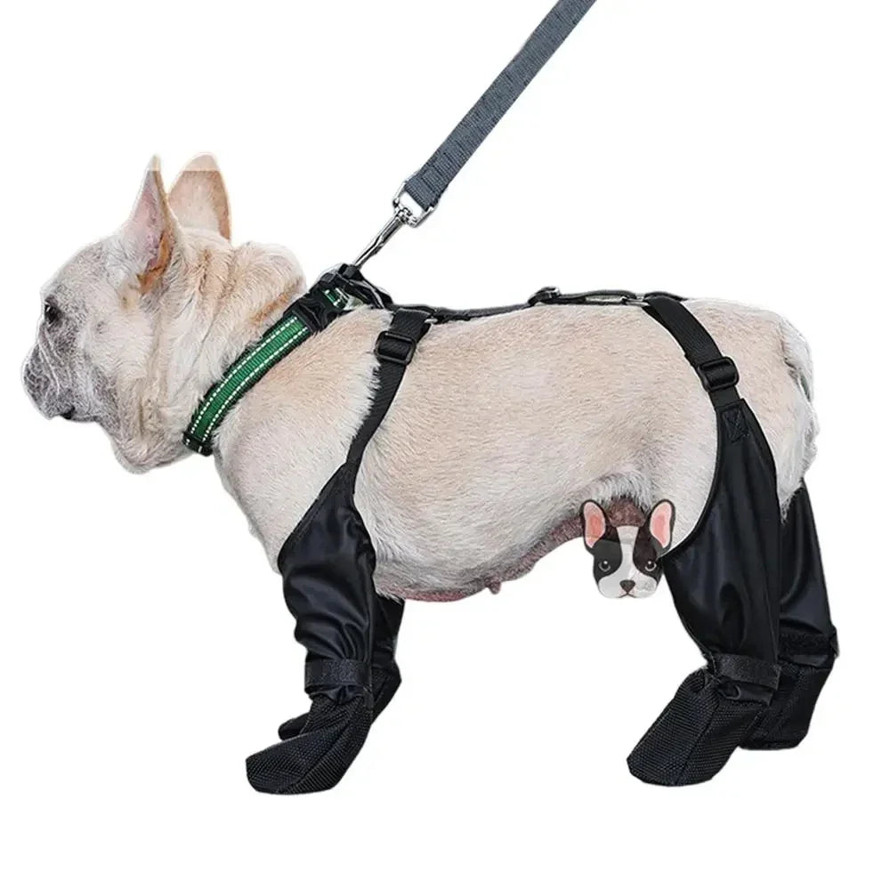 Zapatos Impermeables Perros Ajustables - Botas Protectoras Patas Transpirables