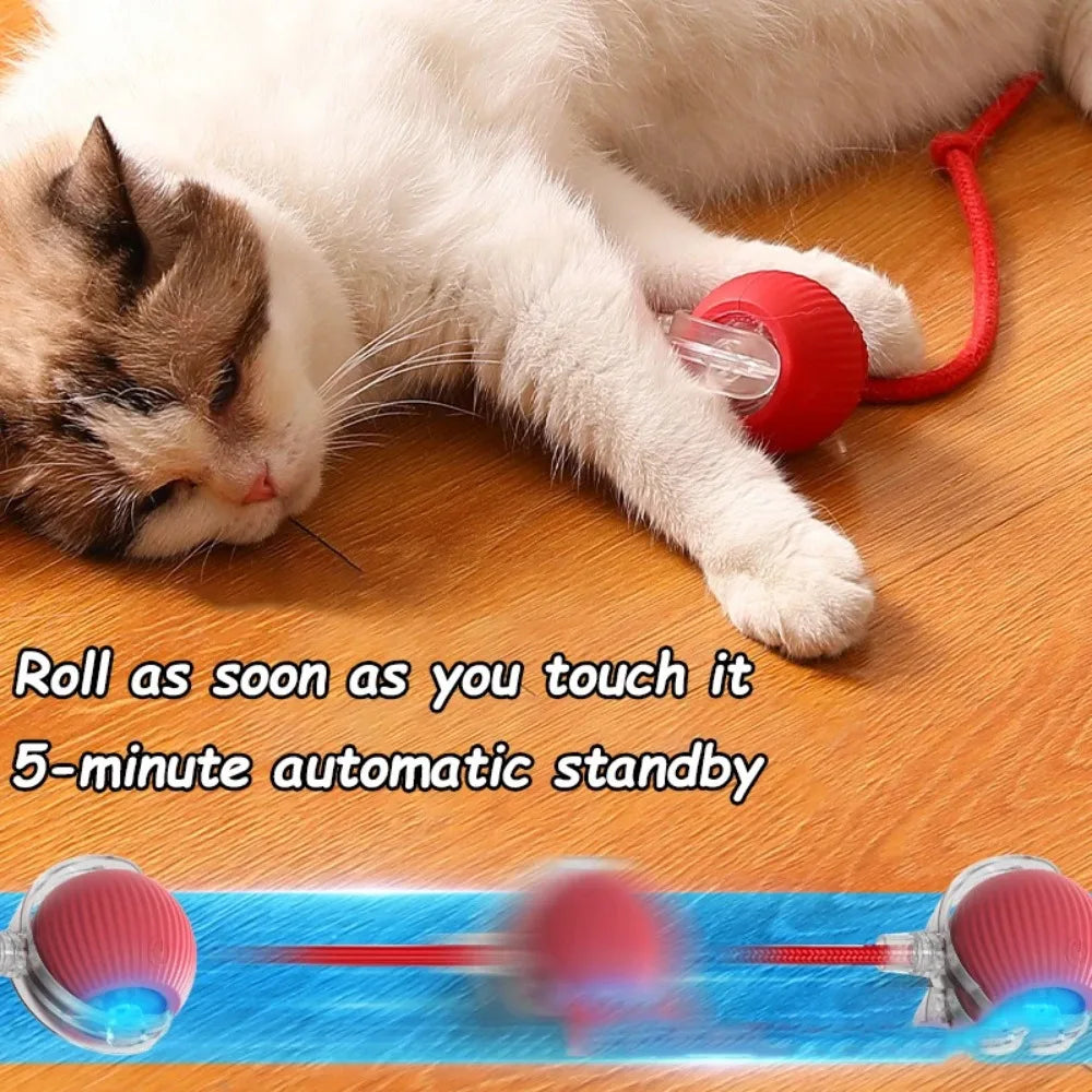 Pelota Interactiva Automática Gatos - Juguete Eléctrico Recargable con Cola