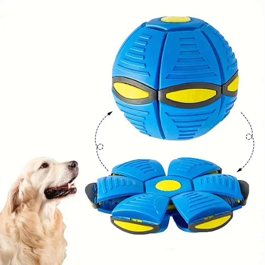 Pelota Platillo Volador Rebotante - Juguete Mascotas Actividades Familiares