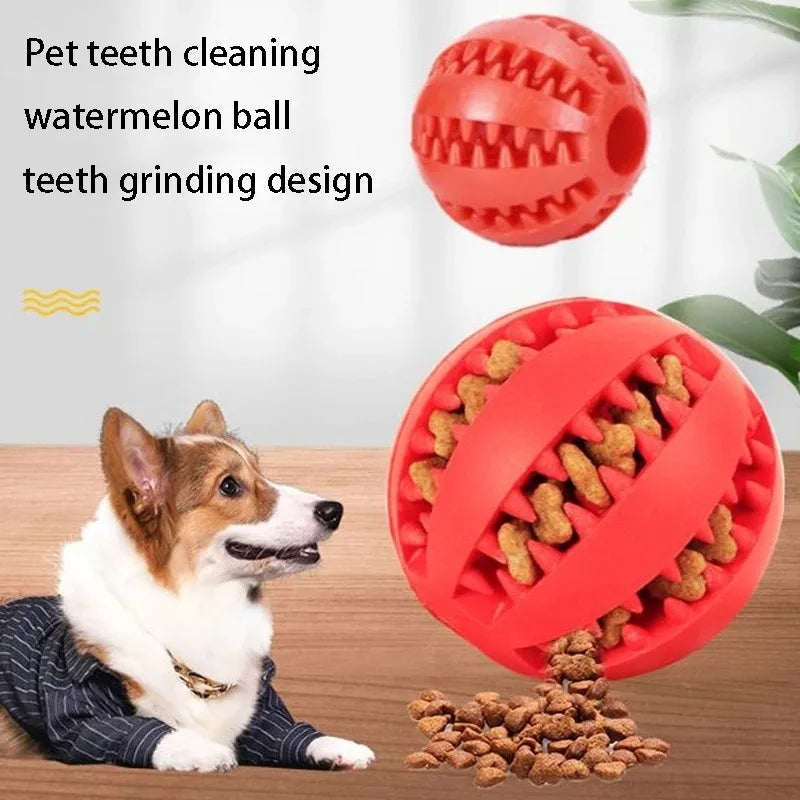 Pelota Goma Natural Perros - Juguete Masticable Limpieza Dental 5cm