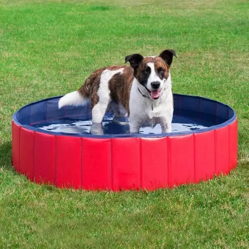 Bañera Plegable Mascotas - Piscina Interactiva Portátil Gatos y Perros