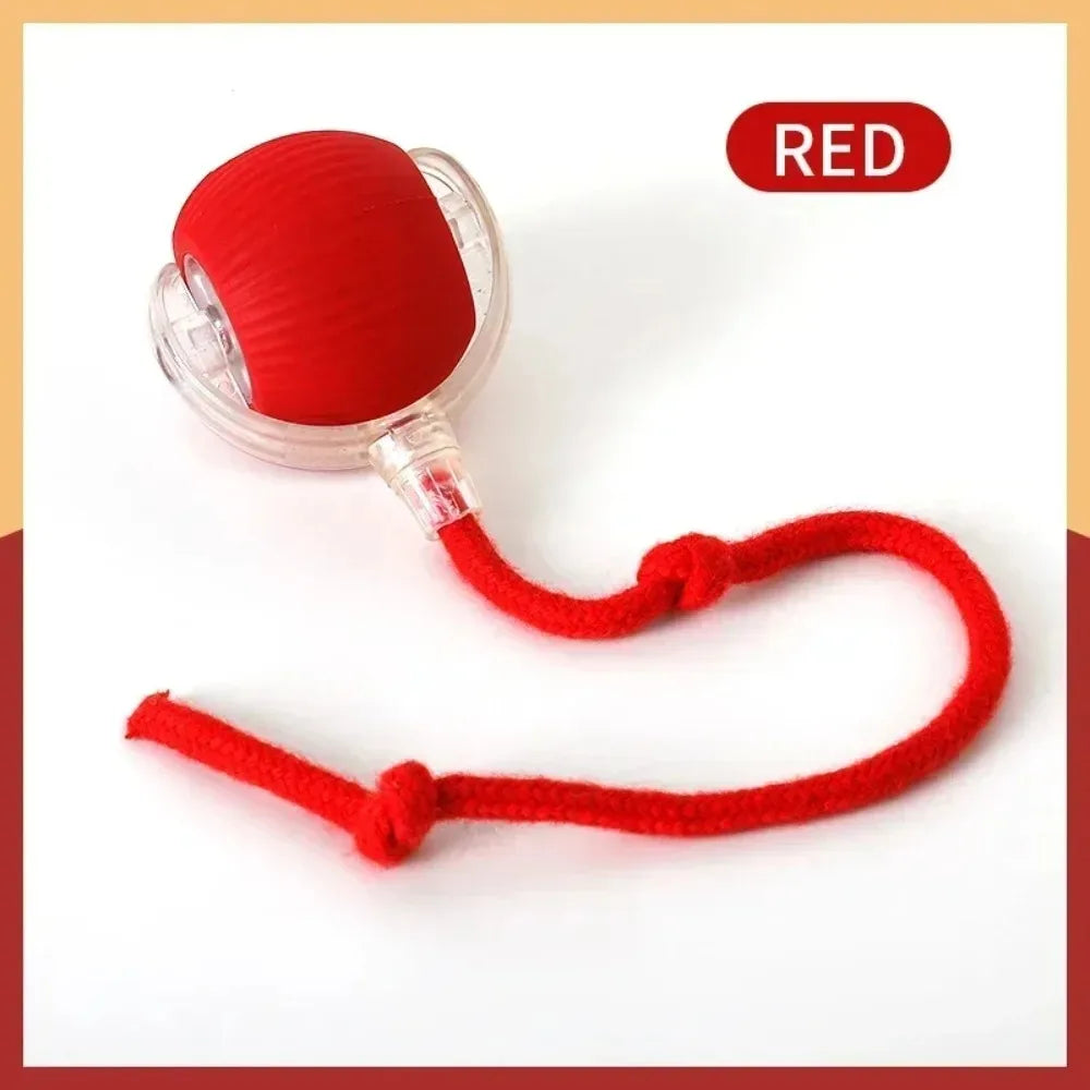 Pelota Interactiva Automática Gatos - Juguete Eléctrico Recargable con Cola