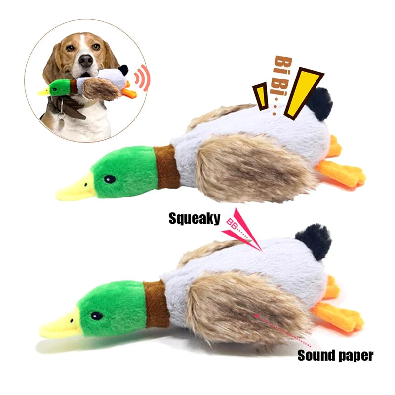 Juguete Pato Peluche con Sonido - Squeaker Divertido Perros Pequeños Medianos