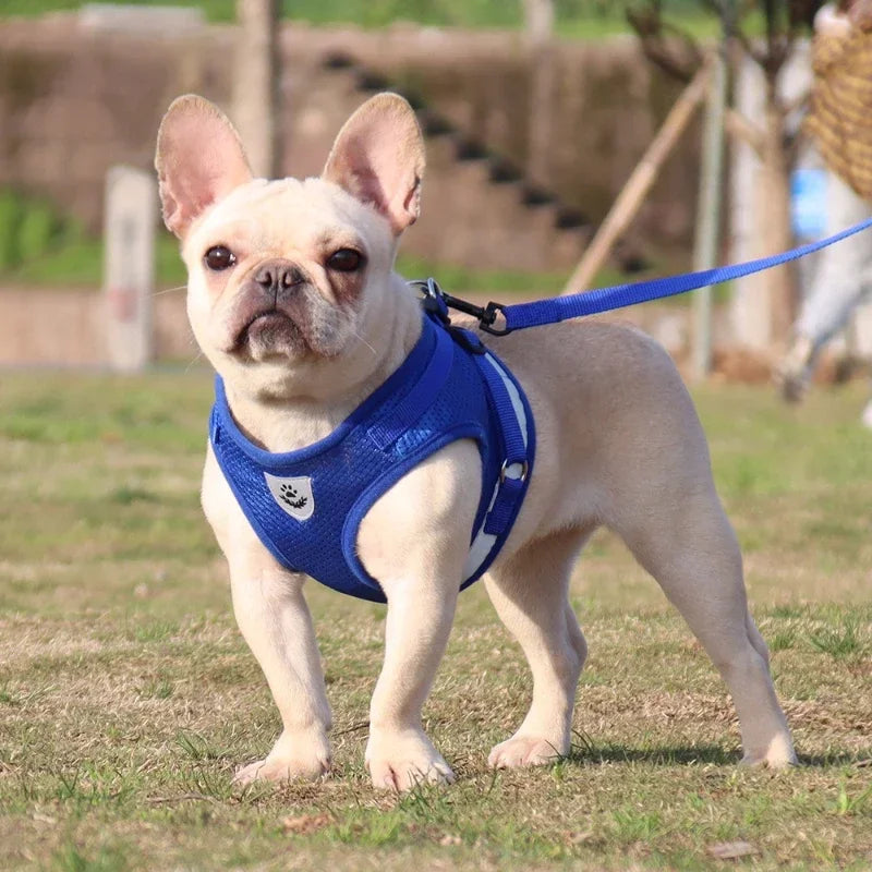 1Pc Vest Harness Leash Adjustable Mesh Vest Dog Harness Collar Chest Strap Leash Harnesses with Traction Rope XS/S/M/L/XL