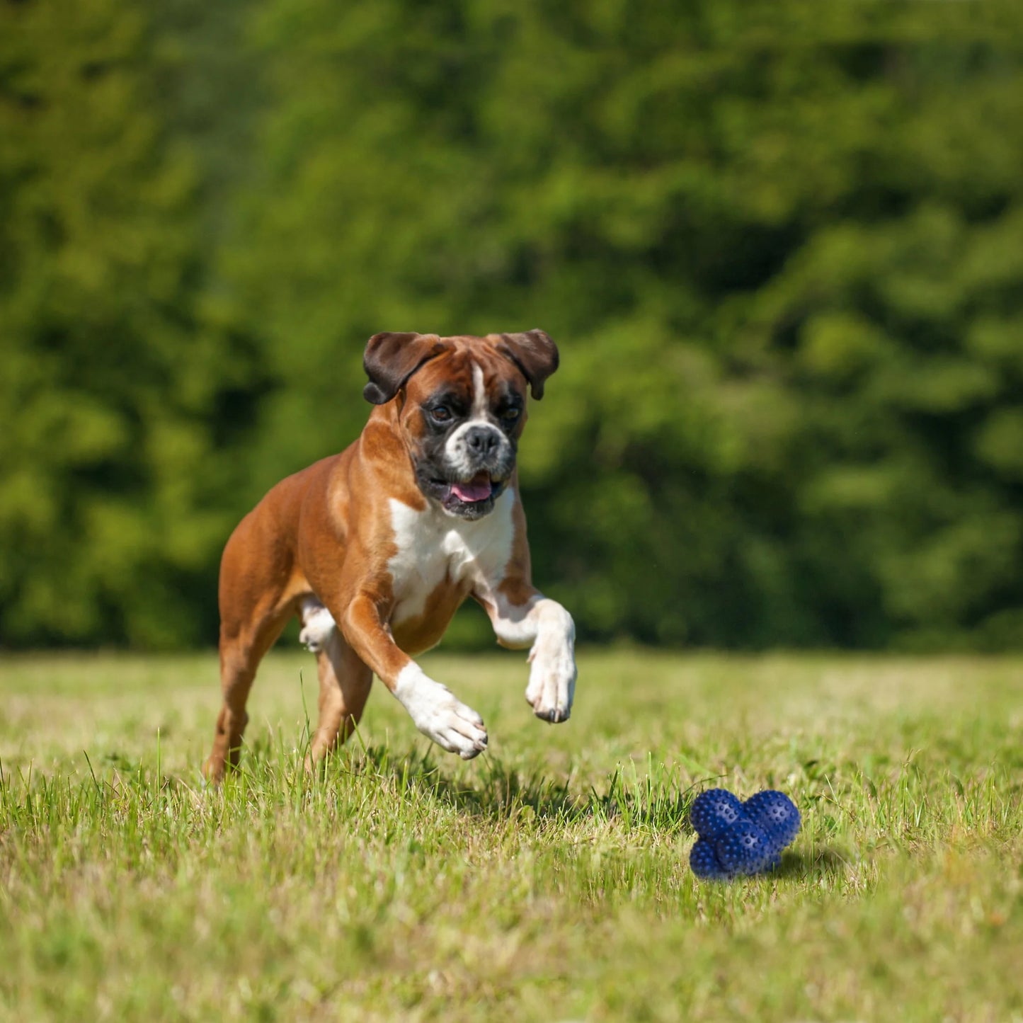 Power Play Large/Giant Ball for Dogs - Suitable for Dogs Up to 50 lbs (Single Count)