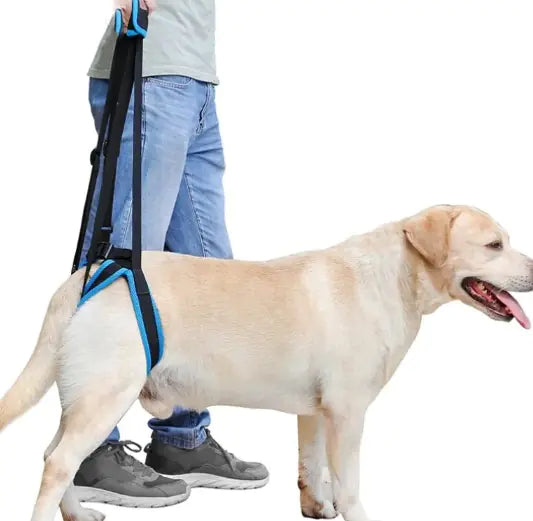 Arnés de Soporte y Movilidad para Perros - Ayuda Rehabilitación