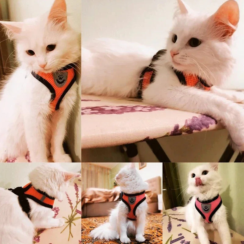 Arnés Chaleco Ajustable para Gatos y Perros - Malla Transpirable con Correa