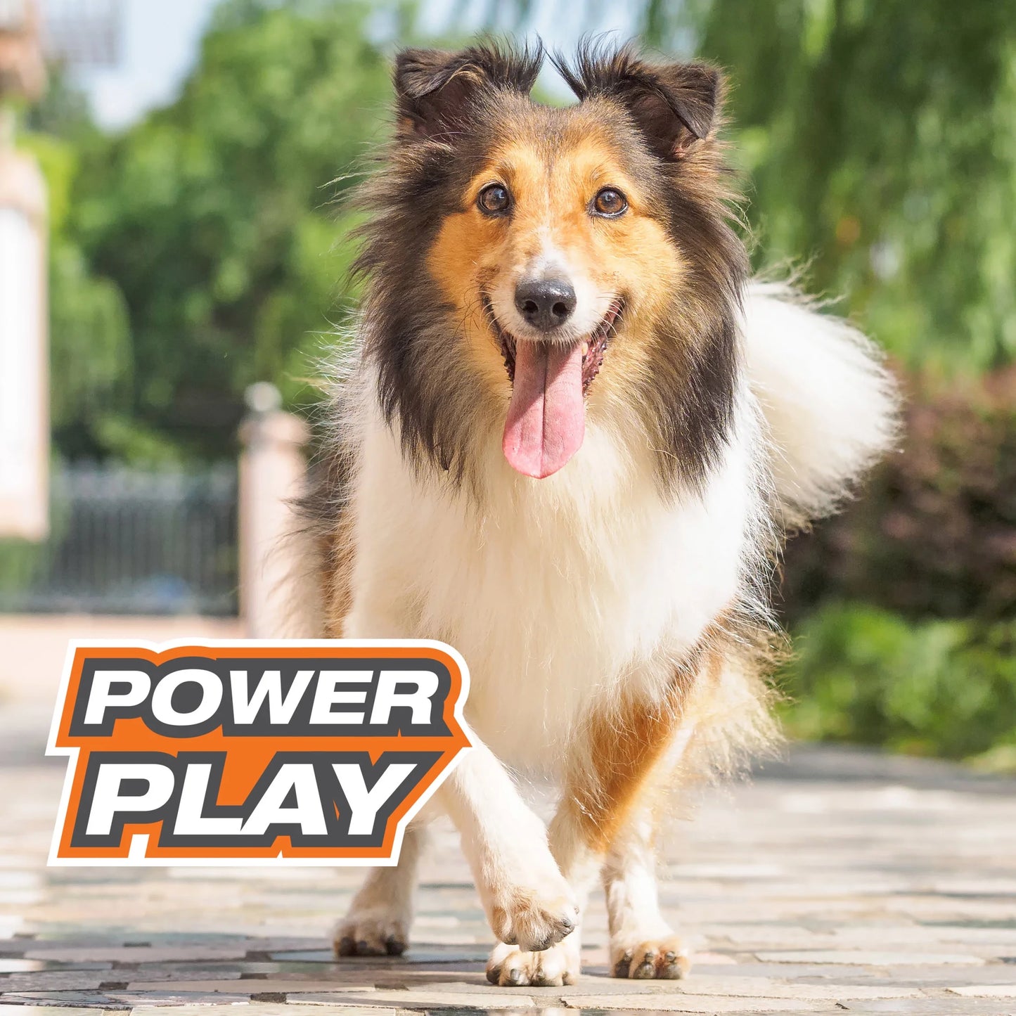 Power Play Large/Giant Ball for Dogs - Suitable for Dogs Up to 50 lbs (Single Count)