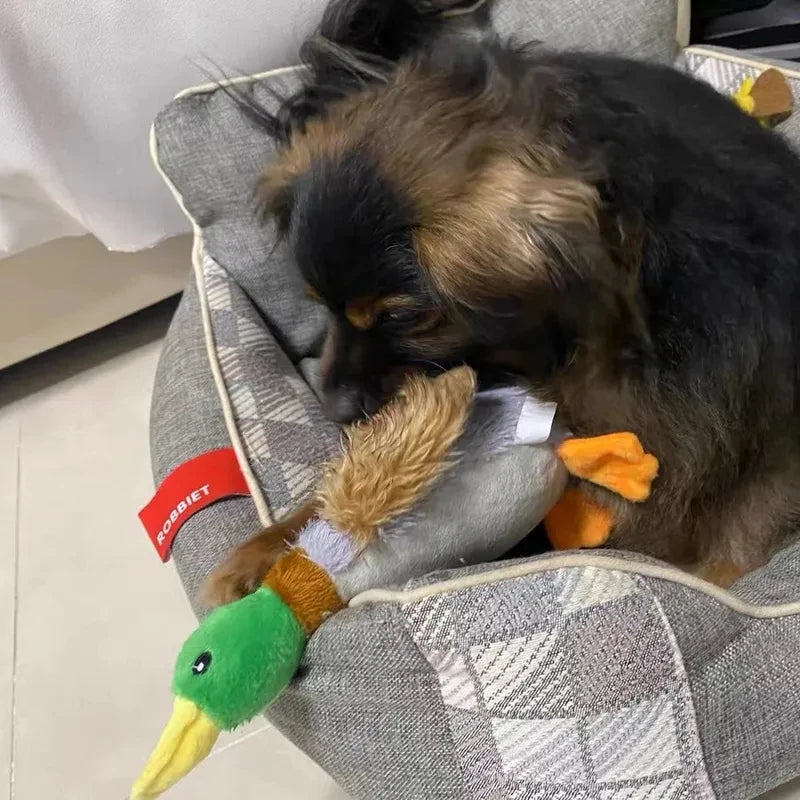 Juguete Pato Peluche con Sonido - Squeaker Divertido Perros Pequeños Medianos