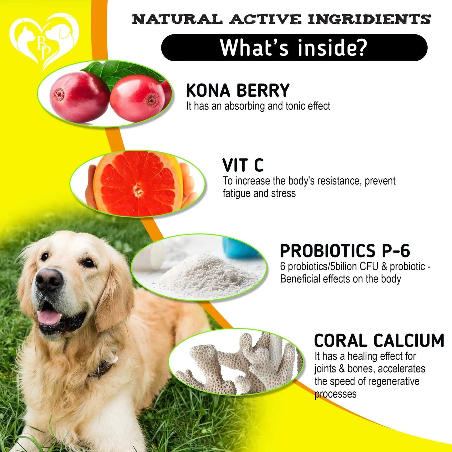 Chews para Alivio de Alergias y Picazón en Perros con Tratamiento para Piel Seca y Erupciones, con Omega-3